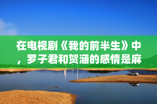 在电视剧《我的前半生》中，罗子君和贺涵的感情是麻烦出来的(我的电视剧百科)