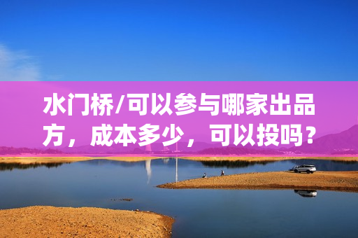 水门桥/可以参与哪家出品方，成本多少，可以投吗？(水门桥是怎么回事)
