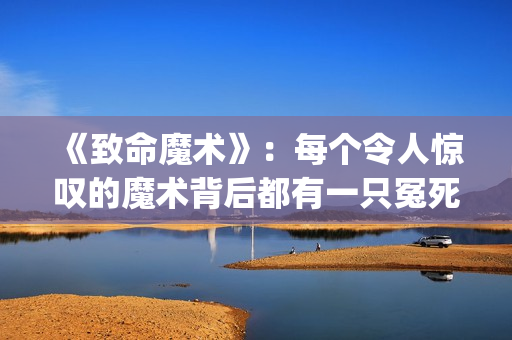《致命魔术》：每个令人惊叹的魔术背后都有一只冤死的小鸟！(致命魔术 电影)