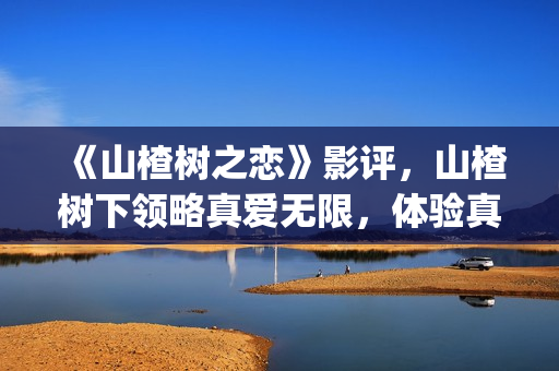 《山楂树之恋》影评，山楂树下领略真爱无限，体验真爱真情(《山楂树之恋》电影)