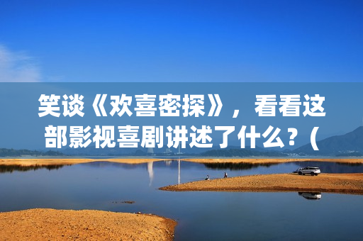 笑谈《欢喜密探》，看看这部影视喜剧讲述了什么？(欢喜密探 小说)
