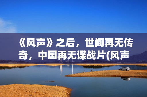 《风声》之后，世间再无传奇，中国再无谍战片(风声最后什么意思)