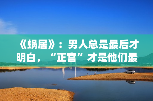 《蜗居》：男人总是最后才明白，“正宫”才是他们最坚定的同盟(蜗居男主角叫啥)