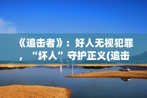 《追击者》：好人无视犯罪，“坏人”守护正义(追击者百科)