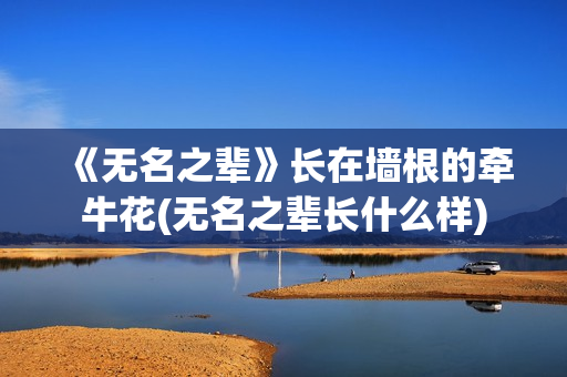 《无名之辈》长在墙根的牵牛花(无名之辈长什么样)