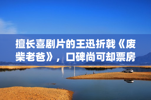 擅长喜剧片的王迅折戟《废柴老爸》，口碑尚可却票房惨淡(喜剧出名的人)