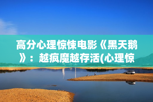 高分心理惊悚电影《黑天鹅》：越疯魔越存活(心理惊悚的经典电影)