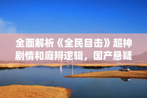 全面解析《全民目击》超神剧情和庭辨逻辑，国产悬疑电影巅峰之作(ⅴip解析全民)