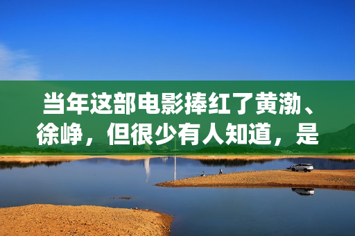 当年这部电影捧红了黄渤、徐峥，但很少有人知道，是刘德华投资的(这部电影是几几年拍的)