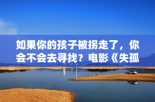 如果你的孩子被拐走了，你会不会去寻找？电影《失孤》解析评价(如果你的孩子被欺负了,家长会怎么办)
