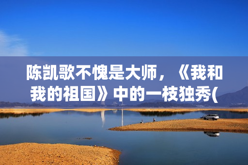 陈凯歌不愧是大师，《我和我的祖国》中的一枝独秀(陈凯歌视频)