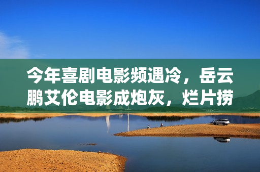 今年喜剧电影频遇冷，岳云鹏艾伦电影成炮灰，烂片捞钱时代已过(今年喜剧电影频道节目表)