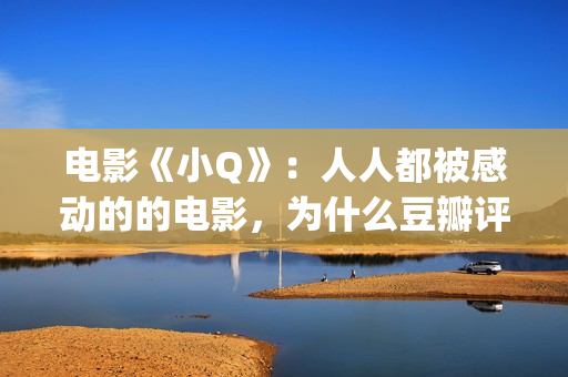 电影《小Q》：人人都被感动的的电影，为什么豆瓣评分却在走低？(电影小q中文版)
