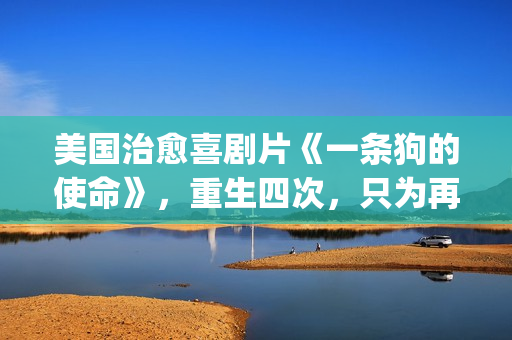美国治愈喜剧片《一条狗的使命》，重生四次，只为再次遇见你！(美国治愈喜剧片排名)