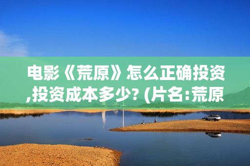 电影《荒原》怎么正确投资,投资成本多少? (片名:荒原)