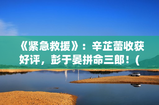 《紧急救援》：辛芷蕾收获好评，彭于晏拼命三郎！(紧急救援演员表名单)