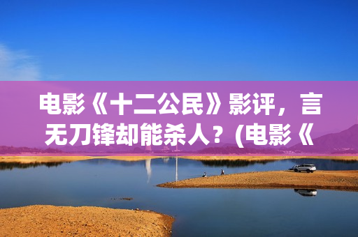 电影《十二公民》影评，言无刀锋却能杀人？(电影《十二公民》)