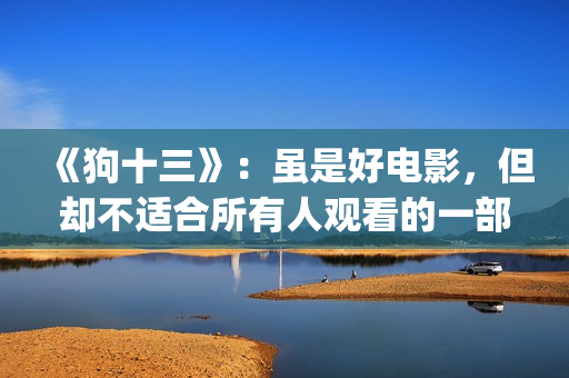 《狗十三》：虽是好电影，但却不适合所有人观看的一部电影！(狗十三说的是什么)