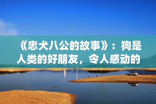 《忠犬八公的故事》：狗是人类的好朋友，令人感动的真实故事(忠犬八公的故事电影免费观看完整版)
