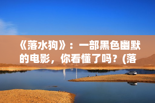 《落水狗》：一部黑色幽默的电影，你看懂了吗？(落水狗打三数字)