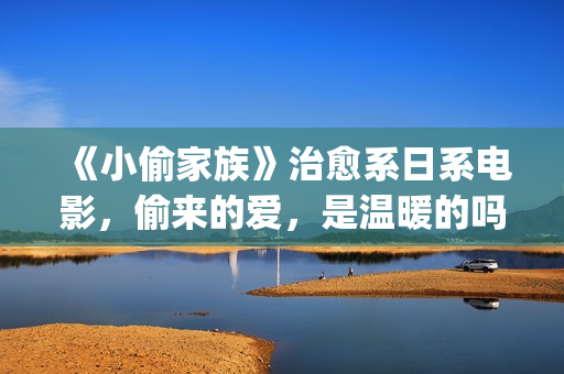 《小偷家族》治愈系日系电影，偷来的爱，是温暖的吗？(小偷家族121min)
