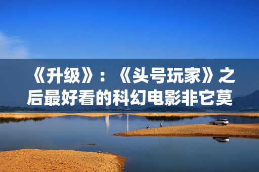 《升级》：《头号玩家》之后最好看的科幻电影非它莫属(升级头像)