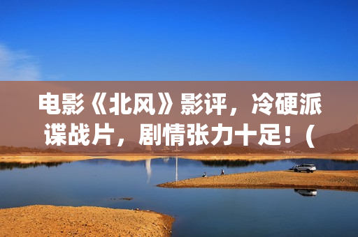 电影《北风》影评，冷硬派谍战片，剧情张力十足！(北风电影下载)