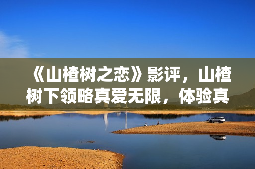 《山楂树之恋》影评，山楂树下领略真爱无限，体验真爱真情(《山楂树之恋》舞蹈Dj)