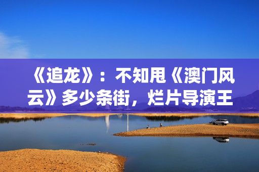 《追龙》：不知甩《澳门风云》多少条街，烂片导演王晶的翻身之作(追龙1百度百科)