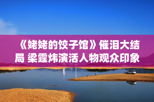 《姥姥的饺子馆》催泪大结局 梁霆炜演活人物观众印象深刻(姥姥的饺子馆方达结局)
