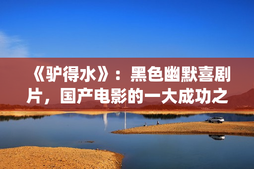 《驴得水》：黑色幽默喜剧片，国产电影的一大成功之作！(驴得水原版)