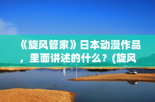 《旋风管家》日本动漫作品，里面讲述的什么？(旋风管家完整版)