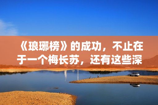 《琅琊榜》的成功，不止在于一个梅长苏，还有这些深入人心的角色(琅琊榜的成就)