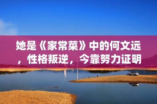 她是《家常菜》中的何文远，性格叛逆，今靠努力证明自己(电视剧家常菜原型)