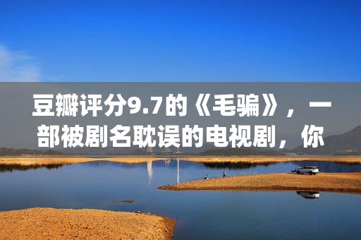 豆瓣评分9.7的《毛骗》，一部被剧名耽误的电视剧，你看过没？(豆瓣评分高达9分以上)