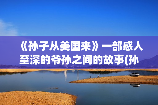 《孙子从美国来》一部感人至深的爷孙之间的故事(孙子从美国来 在线观看)