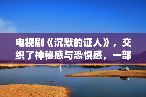 电视剧《沉默的证人》，交织了神秘感与恐惧感，一部经典的刑侦剧(电视剧《沉默的荣耀》)