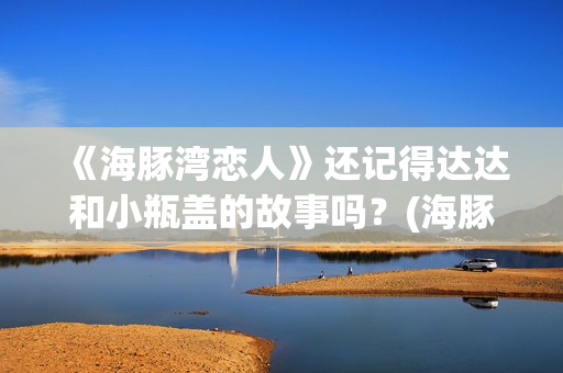 《海豚湾恋人》还记得达达和小瓶盖的故事吗？(海豚湾恋人免费观看全集)