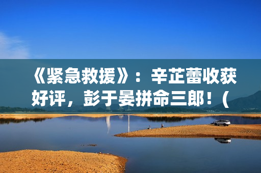 《紧急救援》：辛芷蕾收获好评，彭于晏拼命三郎！(紧急救援第八季)