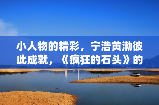 小人物的精彩，宁浩黄渤彼此成就，《疯狂的石头》的成功不无道理(小人物的精彩句子)