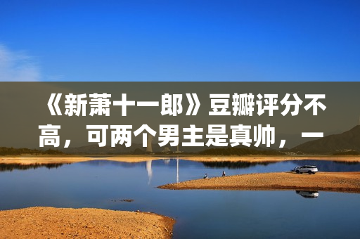 《新萧十一郎》豆瓣评分不高，可两个男主是真帅，一个比一个养眼(新萧十一郎免费观看完整版)