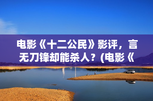 电影《十二公民》影评，言无刀锋却能杀人？(电影《十二公民》完整版在线观看)