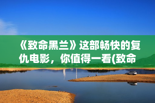 《致命黑兰》这部畅快的复仇电影，你值得一看(致命黑兰原版)