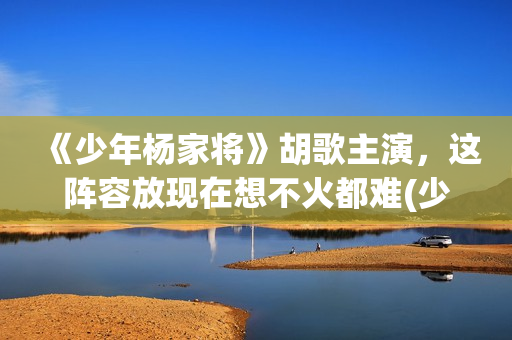 《少年杨家将》胡歌主演，这阵容放现在想不火都难(少年杨家将 电视剧)