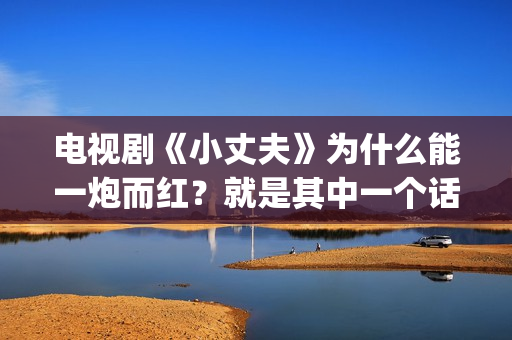 电视剧《小丈夫》为什么能一炮而红？就是其中一个话题，姐弟恋(电视剧《小丈夫》免费播放)