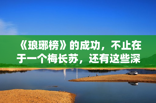 《琅琊榜》的成功，不止在于一个梅长苏，还有这些深入人心的角色(《琅琊榜》的成毅是谁)