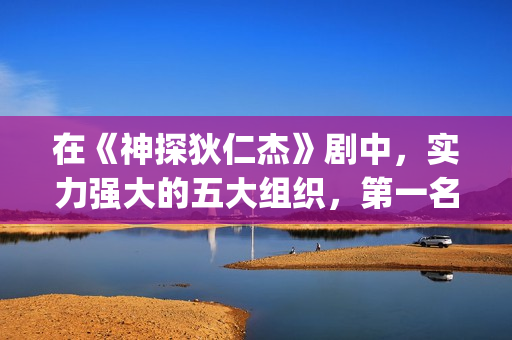 在《神探狄仁杰》剧中，实力强大的五大组织，第一名险些推翻朝廷(神探狄仁杰仵作)