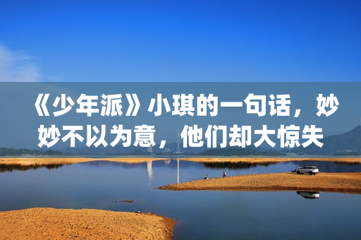 《少年派》小琪的一句话，妙妙不以为意，他们却大惊失色！(少年派小琪为什么换人)