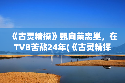 《古灵精探》甄向荣离巢，在TVB苦熬24年(《古灵精探》甄子丹结局)