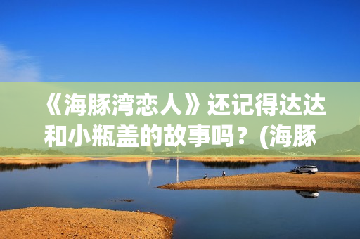 《海豚湾恋人》还记得达达和小瓶盖的故事吗？(海豚湾恋人剧情详细介绍)